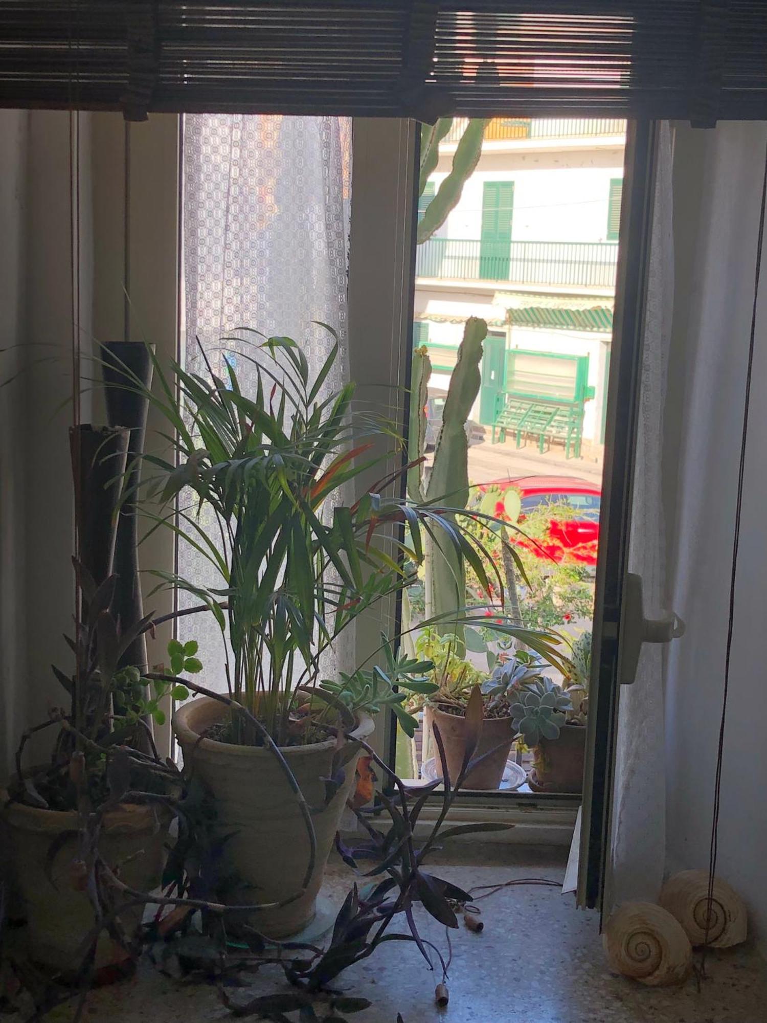 Le Muse Casa Vacanze Scoglitti Kamer foto